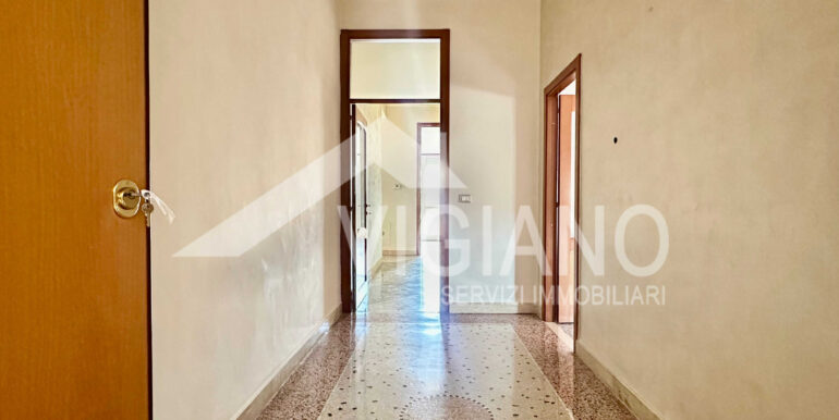 IMG_4290